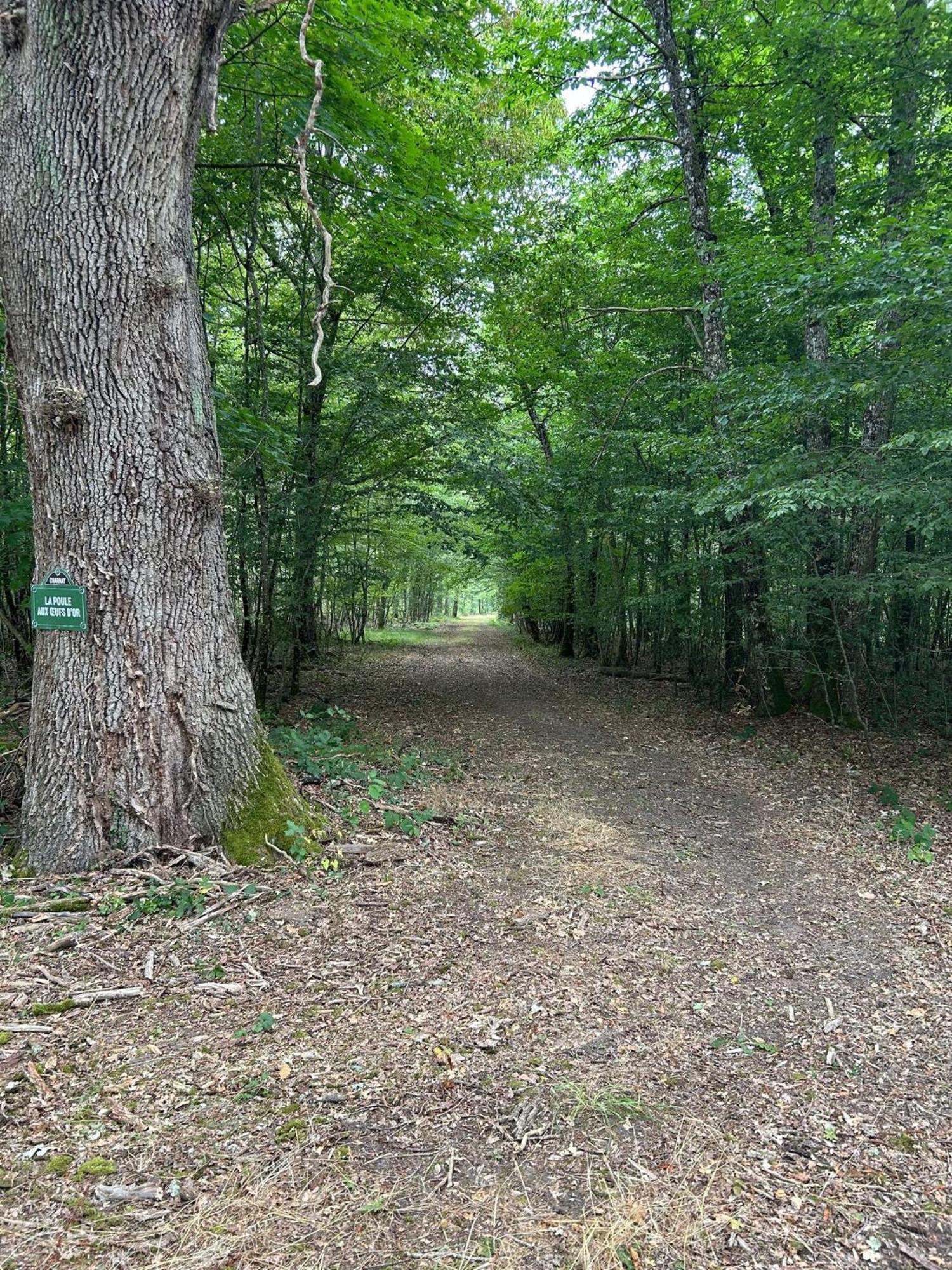 Domaine De Charnay - Charme Et Confort Dans Un Environnement D'Exception Vierzon Zewnętrze zdjęcie