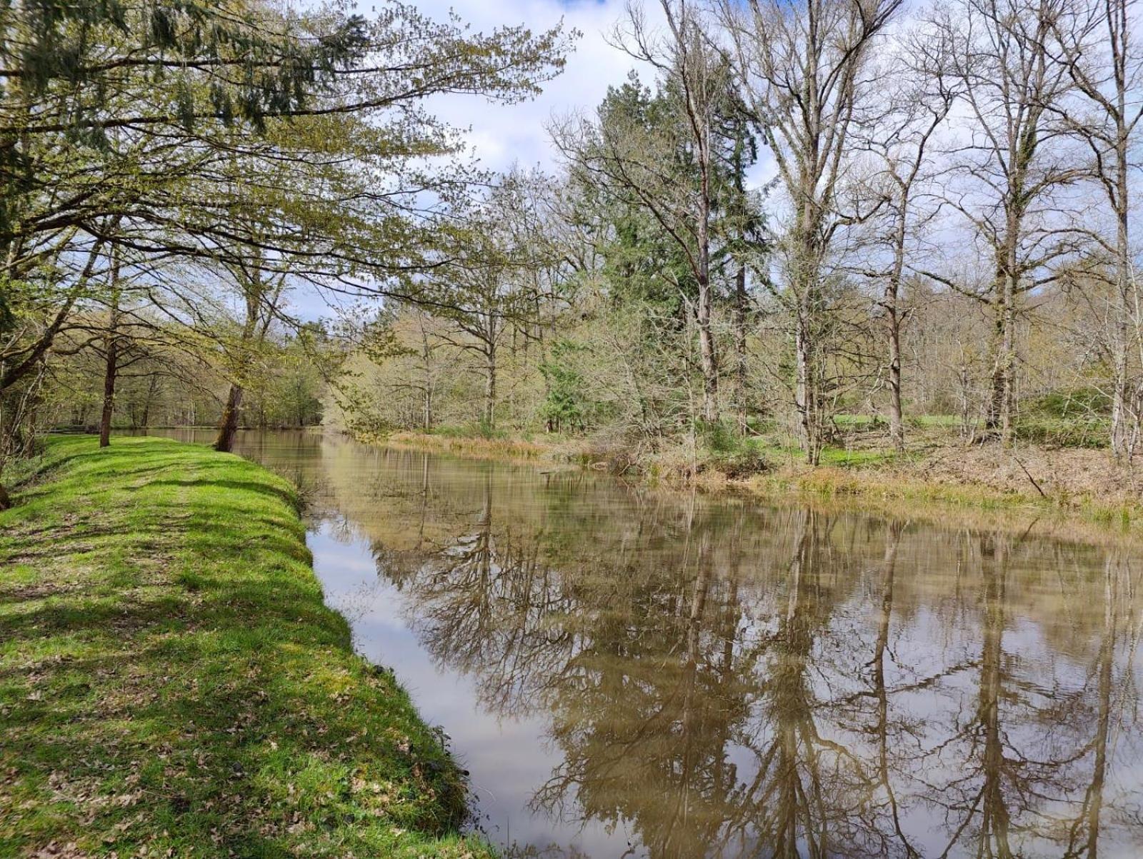 Domaine De Charnay - Charme Et Confort Dans Un Environnement D'Exception Vierzon Zewnętrze zdjęcie