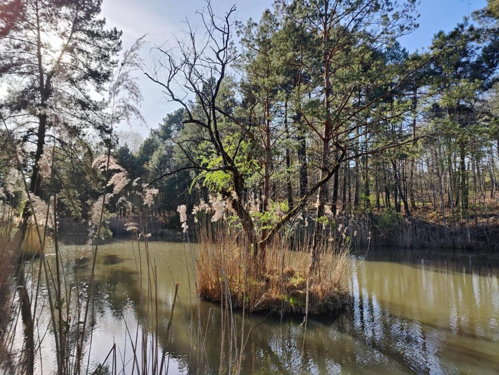 Domaine De Charnay - Charme Et Confort Dans Un Environnement D'Exception Vierzon Zewnętrze zdjęcie