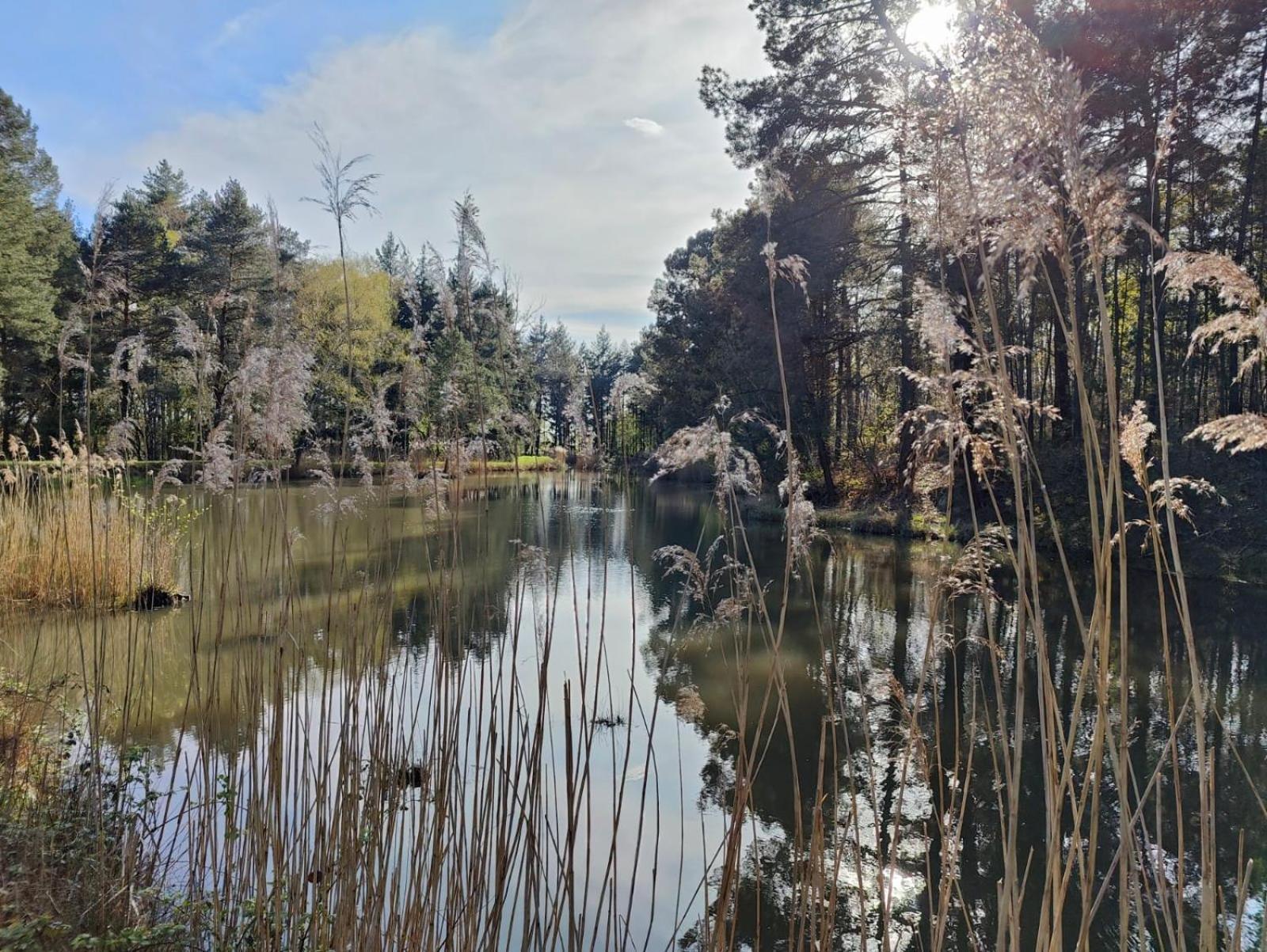 Domaine De Charnay - Charme Et Confort Dans Un Environnement D'Exception Vierzon Zewnętrze zdjęcie