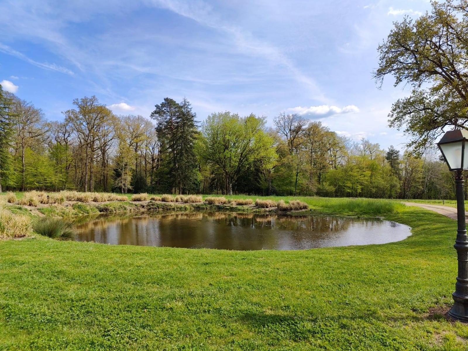 Domaine De Charnay - Charme Et Confort Dans Un Environnement D'Exception Vierzon Zewnętrze zdjęcie